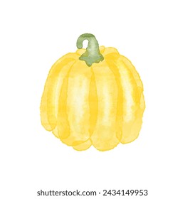 Watercolor vector yellow pumpkin isolated on white