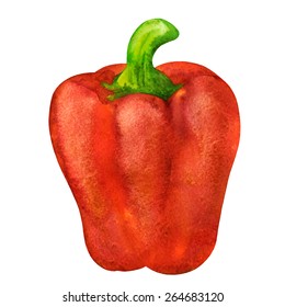 Watercolor vegetable bell pepper closeup isolated on white background. Hand painting on paper
