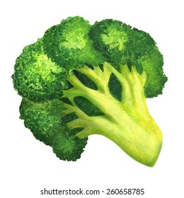 Watercolor vegetable broccoli closeup isolated on a white background. Hand painting on paper