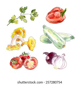 Watercolor Vegetable Collection. Hand painted Illustration isolated on white / Vector illustration