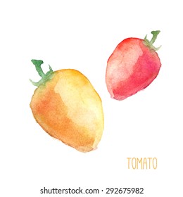 Watercolor vegetable isolated. Hand painted tomatoes. Vector