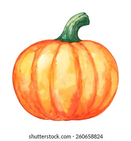 Watercolor vegetable pumpkin closeup isolated on a white background. Hand painting on paper 