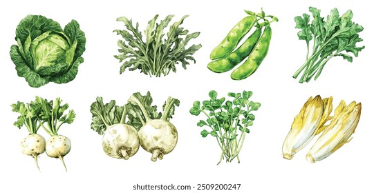 Conjunto de legumes de aquarela: Elementos de alimentos frescos desenhados à mão no fundo branco