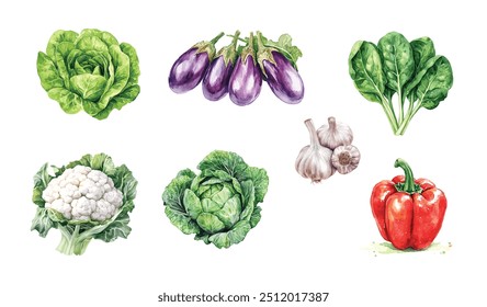 Conjunto de verduras de acuarela: Elementos de alimentos frescos dibujados a mano sobre fondo blanco