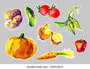 Watercolor vegetables