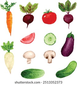 watercolor vegetables, carrot, cucumber, tomato, turnip, eggplant, and beet 