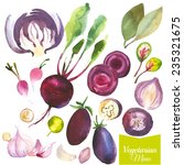 Watercolor vegetables and herbs. Provencal style. Recent watercolor paintings of organic food. Beet, cabbage, bay leaf, garlic, radishes, onions