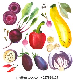 Watercolor vegetables and herbs. Provencal style. Recent watercolor paintings of organic food. Onion, radishes, eggplant, cabbage, zucchini, pepper, bay leaves, beetroot, ginger