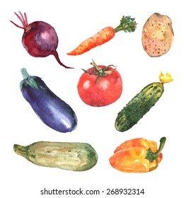 Watercolor vegetables set with carrot zucchini beet cucumber potato isolated vector illustration