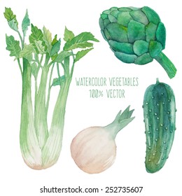 Watercolor vegetables set. Hand painted vegetables isolated on white background: cucumber,onion, celery, artichoke. Healthy diet food elements in vector. Vegetarian collection