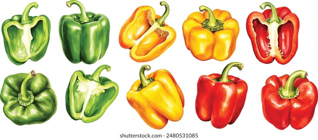 Watercolor vegetables set on white background. Hand drawn isolated fresh yellow, orange, red pepper paprika