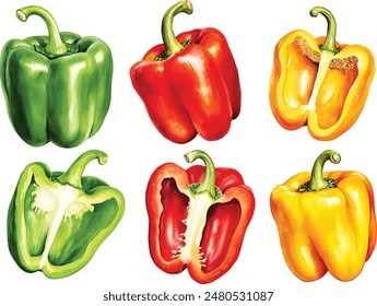 Watercolor vegetables set on white background. Hand drawn isolated fresh yellow, orange, red pepper paprika