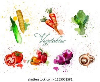 Watercolor vegetables set Vector. Delicious tomatoes, mushrooms and green leaves