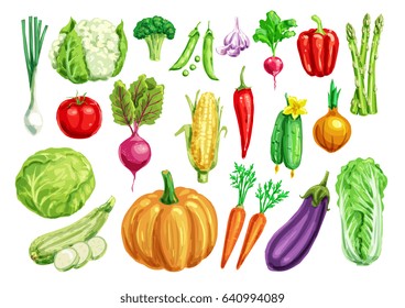 Aquarellgemüse. Tomaten und Karotten, Paprika, Kohl und Zwiebeln, Racin, Broccoli und grüne Zwiebeln, Gurken und Zucchini, Auberginen-, Kürbis- und Maispflanzen, Erbsen und Knoblauch, Spargel und Blumenkohl