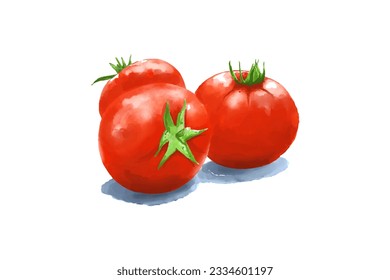 Watercolor vegetables tomato isolated on white background