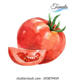 Vegetais aquarela tomate isolado no fundo branco