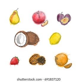 Watercolor vintage vector Ink hand drawn collection of citrus fruits isolated on white background.