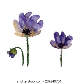 Watercolor violet vector flower. Vector illustration. Watercolor flora element.