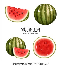 watercolor watermelon, fruit vector illustration