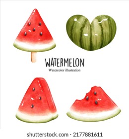 watercolor watermelon, fruit vector illustration