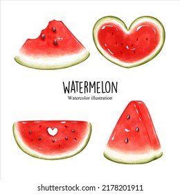 watercolor watermelon, fruit vector illustration