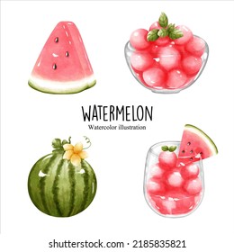 watercolor watermelon, fruit vector illustration