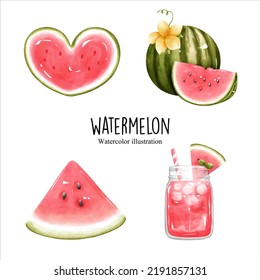 watercolor watermelon, fruit vector illustration