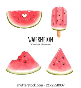 watercolor watermelon, fruit vector illustration