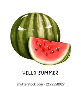 watercolor watermelon, fruit vector illustration