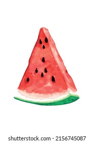 watercolor watermelon. picture. icon. vector illustration. juicy fruit. food. drawing