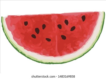 Watercolor watermelon print in vector
