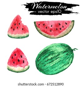 Watercolor watermelon. Vector whole watermelon and slices of watermelon.Hand drawn vector illustration of fruit watermelon isolated on white background.