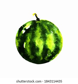 Watercolor watermelon in vector.Green berry on a white background. .Ripe watermelon can be used for textiles, cosmetics, juices, beverages, packaging paper.