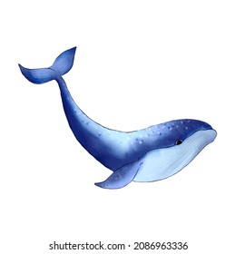 Watercolor Whale. Hand Drawn Cartoon Style Blue Vector Whale