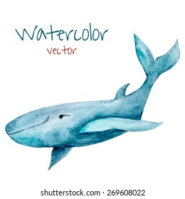 Watercolor whale. Hand drawn vintage illustration. 