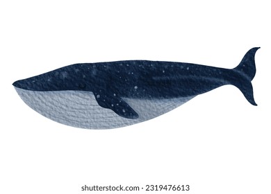 Watercolor whale painting .On paper texture. Vector illustration.