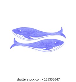 Watercolor whale. Vector illustration.