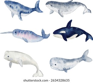 aquarela baleias clipart coleta de animais oceânicos