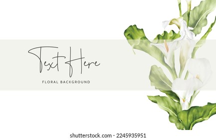 watercolor white calla lily flower floral background template