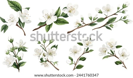 Image, Stock Photo White spring blossoms in front of a house wall