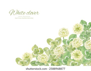 Watercolor white clover background painted in watercolor