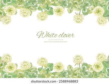 Watercolor white clover background painted in watercolor