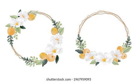 watercolor white flower and orange fruit wreath frame collection isolated on white background digital painting