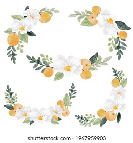 watercolor white flower and orange fruit bouquet collection isolated on white background digital painting