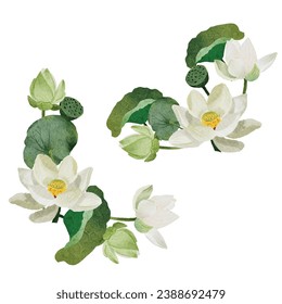 watercolor white lotus elements collection on white background isolated