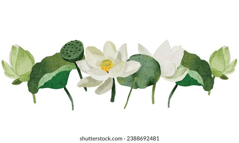 watercolor white lotus elements collection on white background isolated