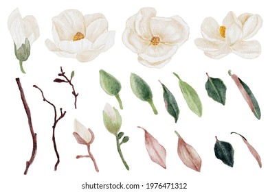 watercolor white magnolia flower and leaf bouquet elements collection 