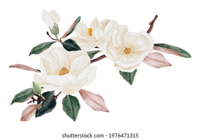 watercolor white magnolia flower and leaf bouquet isolated on white background
