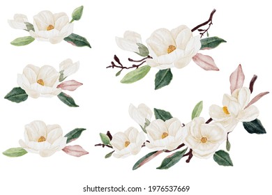 watercolor white magnolia flower and leaf bouquet clipart collection isolated on white background