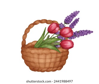 Watercolor wicker basket with tulips flowers bouquet, easter holiday spring symbol